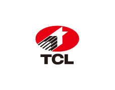 李和杨案例：TCL集团
